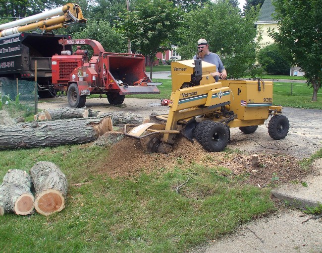 We offer full stump-grinding services