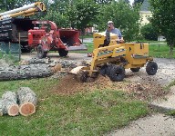 Jamison Mendall - Stump Grinding Service - Massachusetts - (508) 958-0747 - www.jmtreeservice.biz